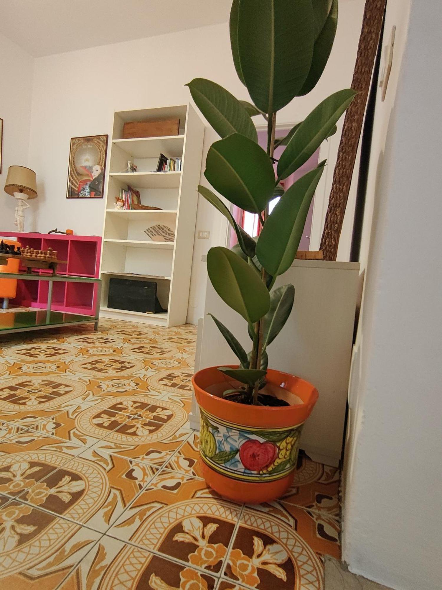 Apartment Residenza Da Alfredo *